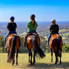 Load image into Gallery viewer, 1.5-Hour Adventure Ride Out for 2 People - Weekend