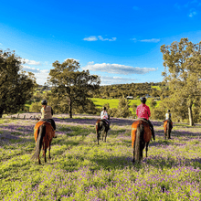Load image into Gallery viewer, 1-Hour Adventure Ride Out for 2 People - Weekdays
