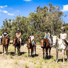 Load image into Gallery viewer, 1-Hour Adventure Ride Out for 2 People - Weekends