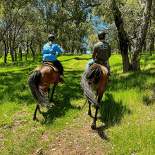 Load image into Gallery viewer, 1.5-Hour Banquet Ride Out For 2 - Weekdays