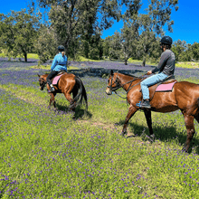 Load image into Gallery viewer, 1.5-Hour Banquet Ride Out For 2 - Weekdays