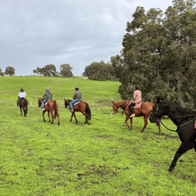 Load image into Gallery viewer, 1.5-Hour Banquet Ride Out For 2 - Weekends