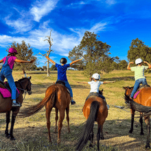 Load image into Gallery viewer, Private Lesson For 1 Rider - Weekdays