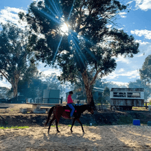 Load image into Gallery viewer, Private Lesson For 1 Rider - Weekends