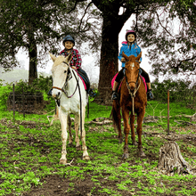 Load image into Gallery viewer, Private Group Lesson for 2 Riders - Weekdays
