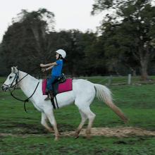 Load image into Gallery viewer, Private Lesson For 1 Rider - Weekdays
