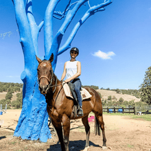 Load image into Gallery viewer, Private Lesson For 1 Rider - Weekends
